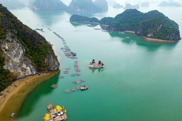 Ha Long Bay Cruise Kayaking, Swimming, Hiking & Lunch with Guide